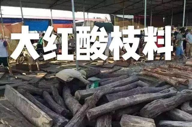 #红木#红木只会越来越值钱