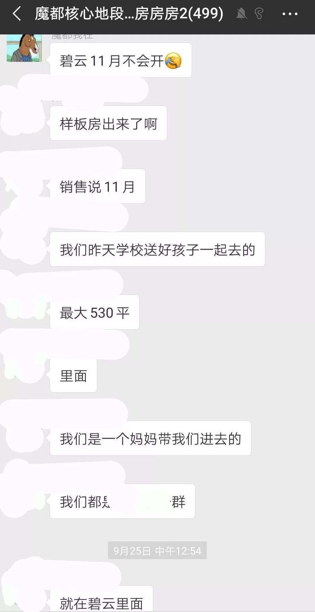 春节前的碧云尊邸静悄悄，来下载81页的ppt产品手册吧