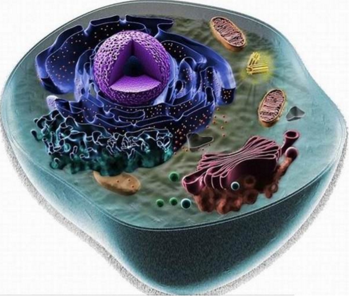 科学家|这种生物违背了自然规律,科学家:它的出现是为了提醒人类