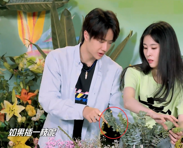 [张碧晨]王一博张碧晨合作插花，谁注意一博看碧晨的样子，藏不住了