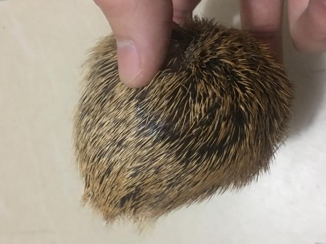 「麝香」揭秘钓鱼界重大骗局——麝香酒