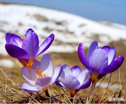 |哪些月份出生的人，有奉献精神，走到哪都有好人缘，好运不求自来
