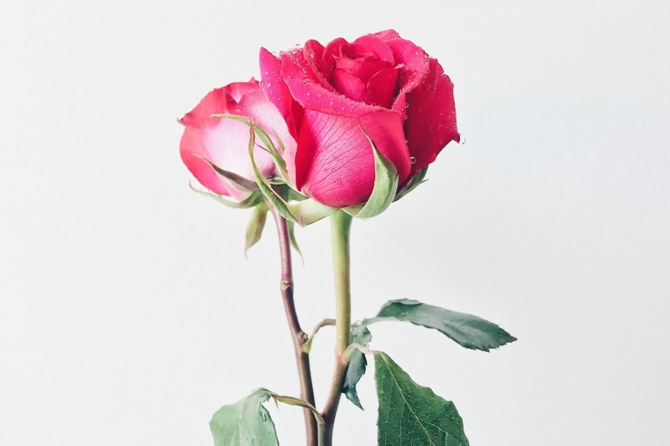 星座女|懂得为自己投资的星座女，外表打扮得光鲜亮丽，内在也够充实