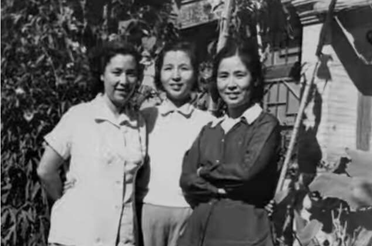 历史揭秘|开国少将带娇妻回家上坟，不料遇上苦等24年的童养媳，结局如何？