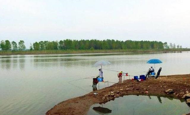 |夏天钓鱼可别再乱选位了,找到3个最藏鱼的地方,抛竿入水就有口