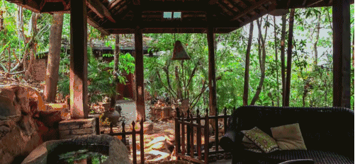 娇兰|不是星二代，她的背景却碾压所有人