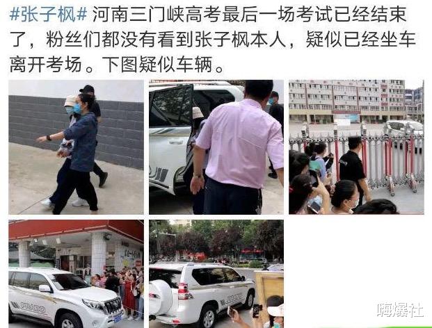 张子枫|张子枫高考成绩曝光,不足400分,近三年明星高考生中排名倒数第二