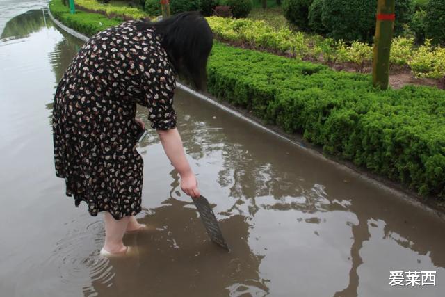 【成都】昨天，莱西市全城人足不出户在家“看海”
