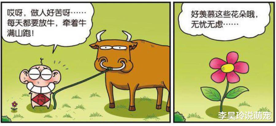 搞笑漫画：流星让呆头变得“貌美如花”！糖葫芦可以“骑”？