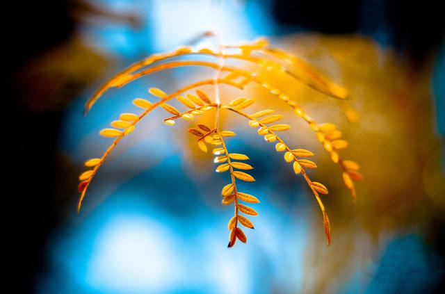 生肖|8月，好运高人一等，事业如鱼得水，4生肖堆金积玉，生活春风得意