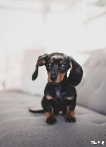 索尼|SONY RX系列7/6/5/4/3差别在哪？