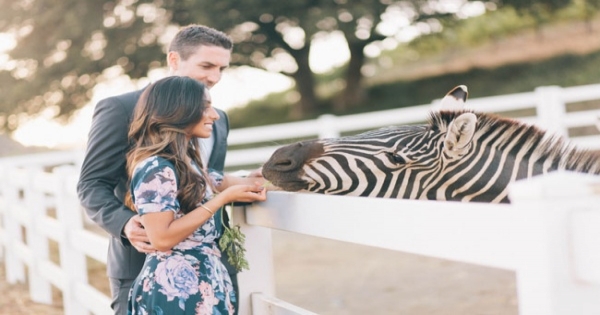 星座爱情观|12星座发自内心爱上你时，才会出现这3种微行为