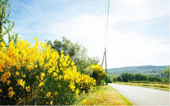 【金牛座】年龄越大越迷人的3个星座女，魅力不减反增，50岁依旧有魅力