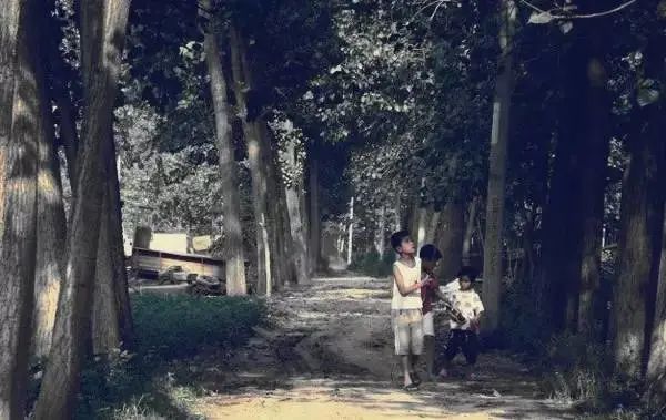 空调|回忆 | 那些没有空调和Wifi的夏天，人们是怎么度过的？