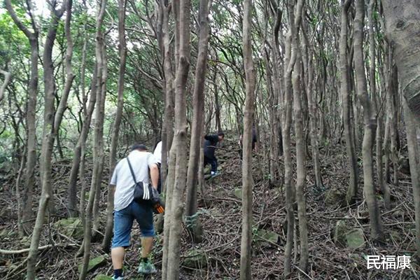 运动|提醒：无论男女，50岁后，4项运动已经不太适合做了，别逞强