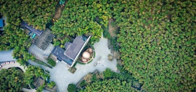 「南山竹海」苏皖两省交界处藏着一处“最美竹海”，游客却说欣赏它的美太贵了