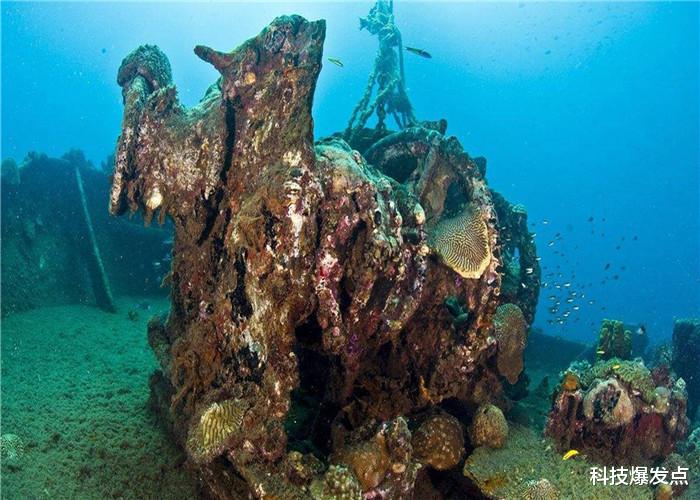 「科学家」8000米深海没有生命？当科学家投放仪器之后，看到了它！