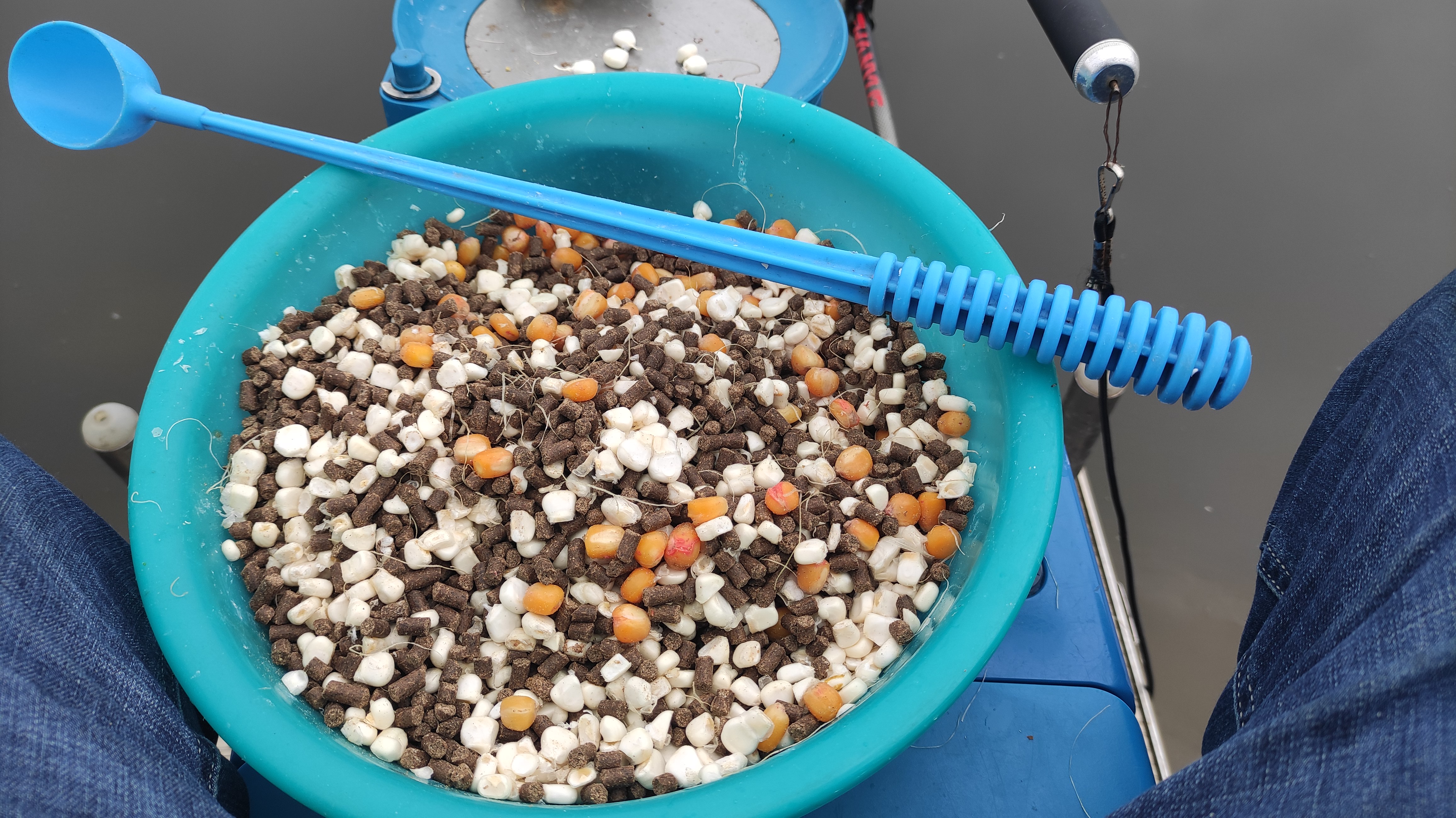 #玉米#怪不得你钓不到青鱼，教你新钓法，爆护不是偶然