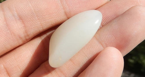 翡翠|翡翠为什么贵过和田玉，这4点原因够吗？