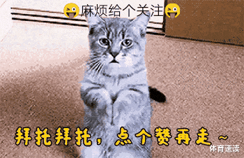 山东鲁能|鲁能的轮换，马上要被其他球队学习了！