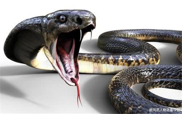 #太阳系#人类曾拥有5大天敌,其中1种至今让人害怕,被咬到只能等死!