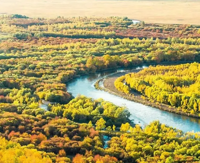 自驾|全国最早一波秋色来了！这6条自驾路线，9、10月美成天堂