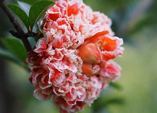 水瓶座■未来7天正财兴旺，4属相翻身走运，事业蒸蒸日上，喜事接二连三