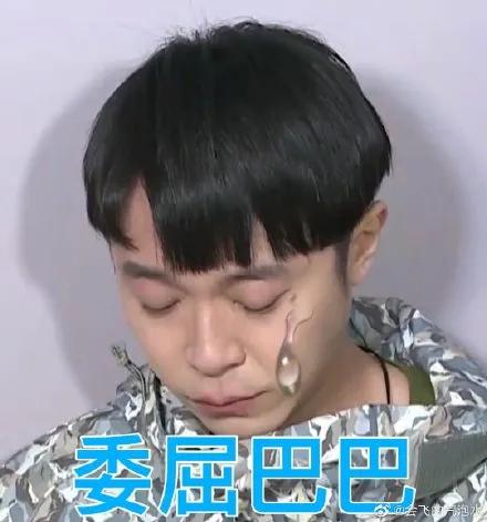 五条人|名场面太多，这个夏天就要搞乐队！