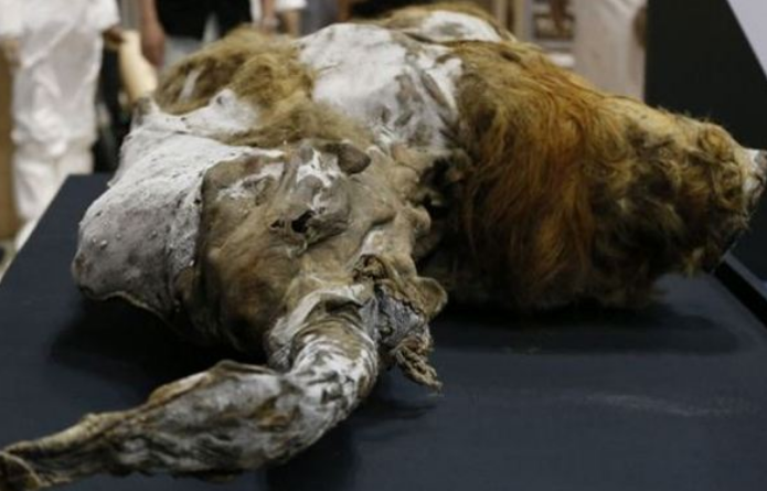 「科学家」北极永冻土解冻，发现14300年前生物，人类真的该清醒一下了！