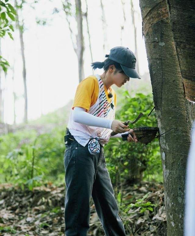 陈赫|《向往的生活4》太牛，最后一天下大手笔，4位明星当飞行嘉宾！