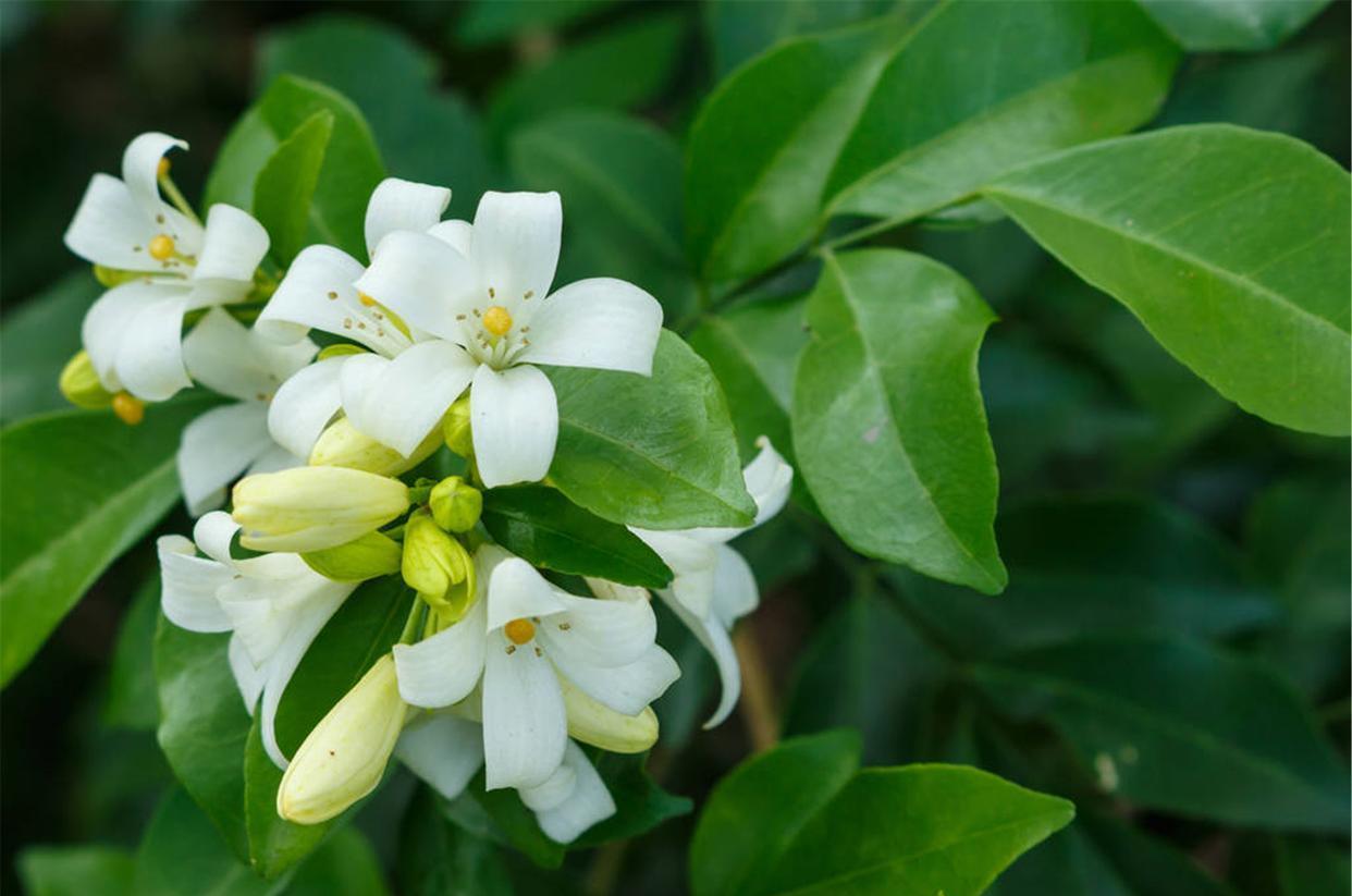 天蝎座▲7月一见钟情,桃花爆棚,坚贞不渝的爱情绝不变心的3个星座