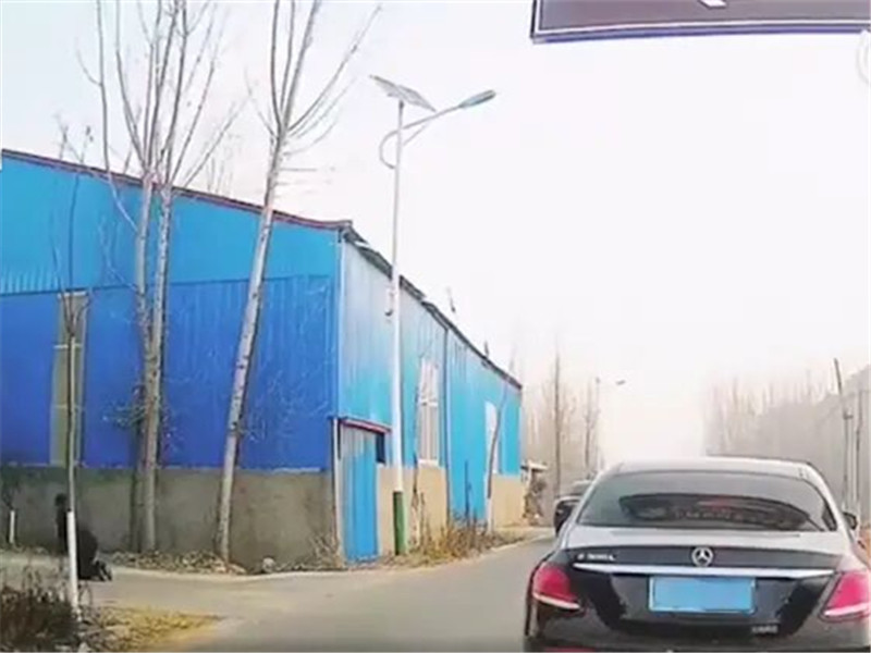 车云社 山东一奔驰婚车队半路突然停下,小伙下车跪拜:我爷爷是烈士!