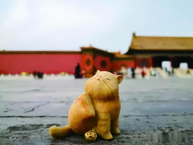 驾驶|斑斓秋色“上新啦”，一起来看600岁的故宫