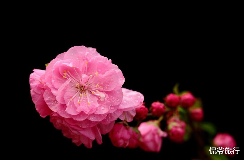 「吉星」6月16号转运重生，3生肖渡过难关，财运临门，贵人不请自来