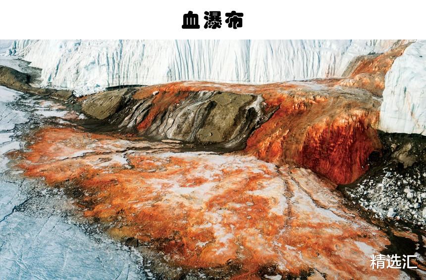 北极|冰层里的神秘发现:多年来,人类在冰层里找到的6个可怕的发现