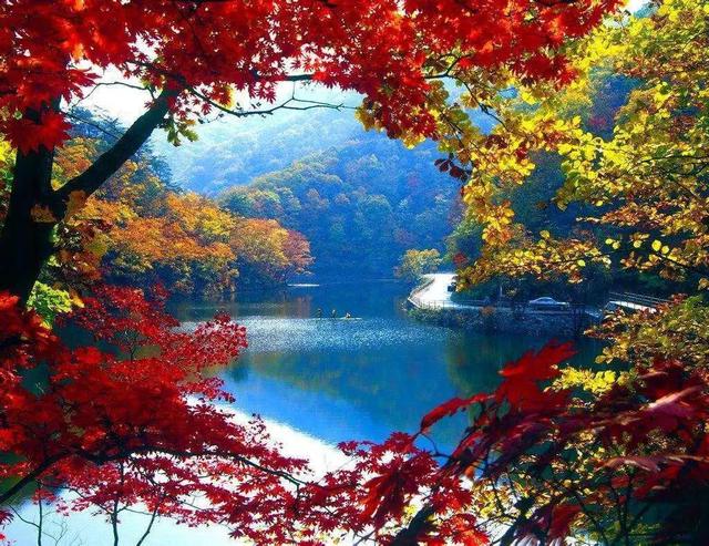 云南|28个最适合9月出行的地方,去邂逅第一场秋色!