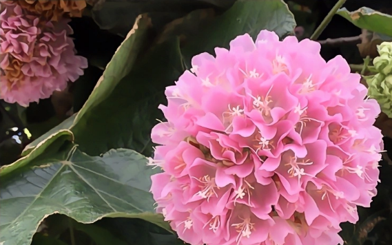 生肖|十月下旬开始，喜事如雨降，财神爷点名，横财入宅的生肖