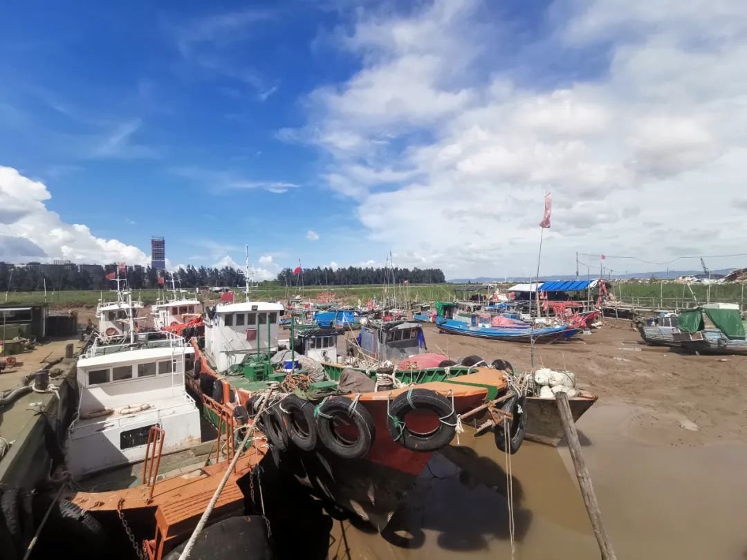 乐清日报|12级！“黑格比”再升级！乐清这7个乡镇需重点关注！最大可能登陆温州沿海