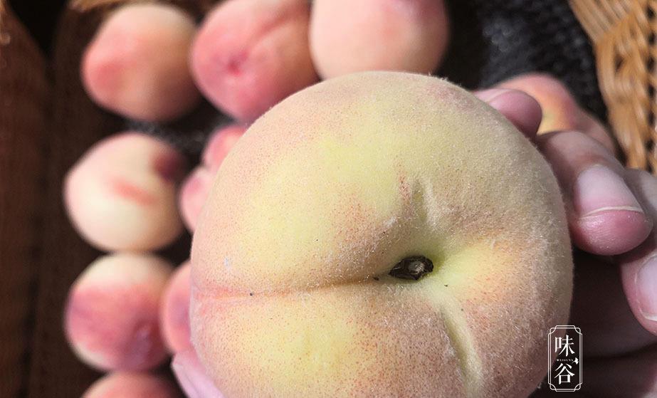 @买桃子就得挑“公”的，新鲜多汁味道好，牢记这5点，一挑一个准