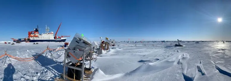 北极|北极漂泊389天后,数百名科学家带回一个噩耗:北冰洋正在死去