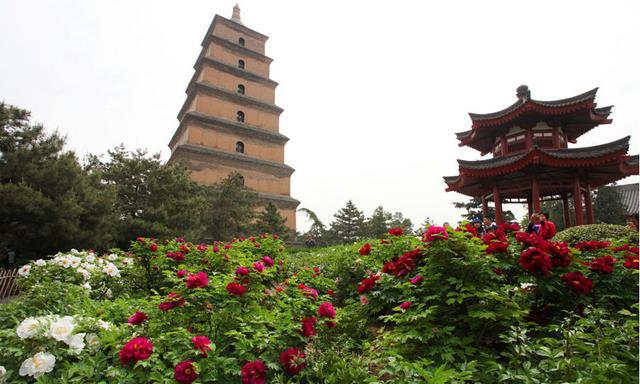 洛阳@值得家庭出游的10个经典景区