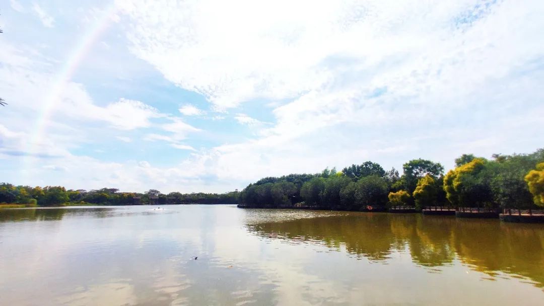南沙|小南请你去南沙湿地钓鱼！