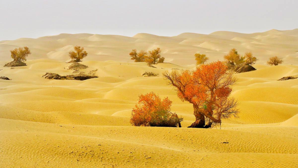 贝加尔湖|沙漠地带的塔里木盆地，竟有大量水资源？专家称可抵十个贝加尔湖