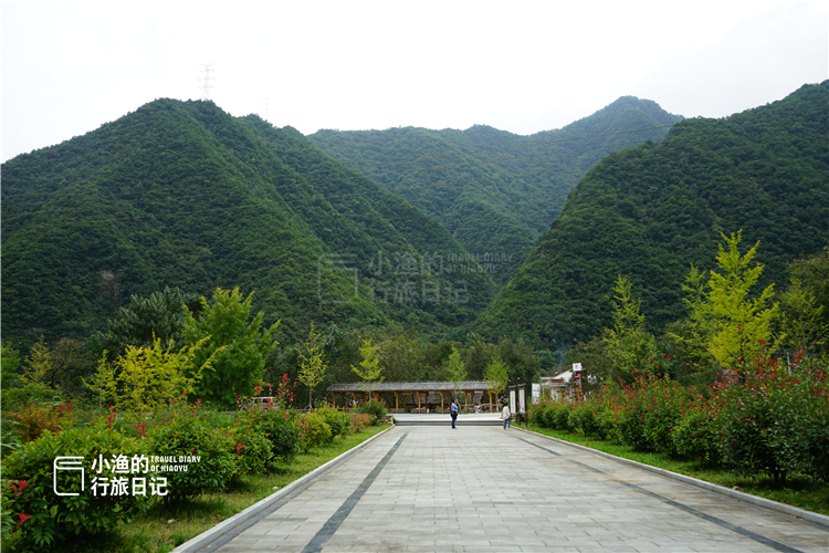 秦岭|陕西秦岭自驾,高速口一株4000年古银杏,树龄全国第三