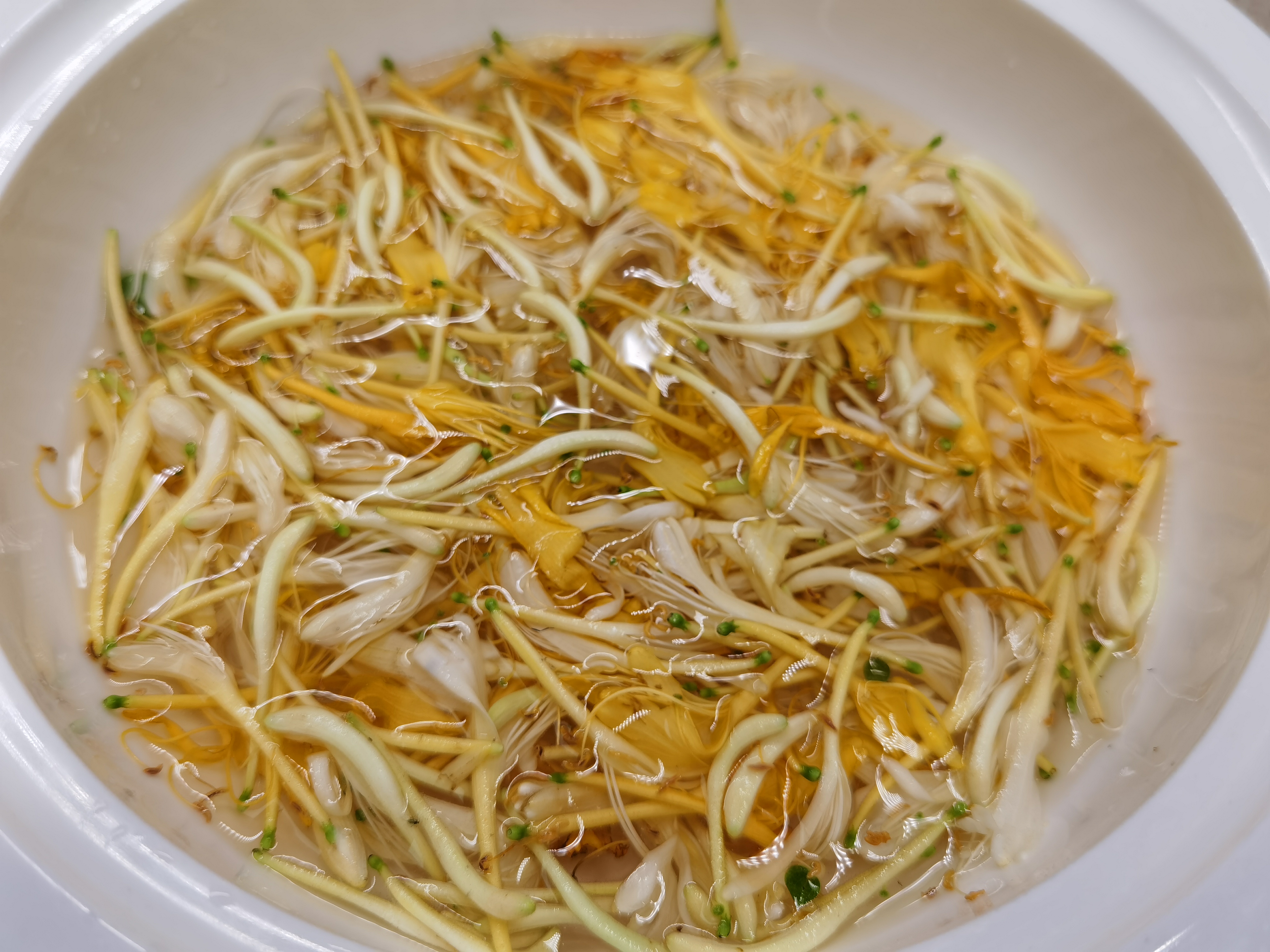 【金银花】6月宁可不吃肉,也要常吃这朵花,女性朋友要多吃,错过再等一年