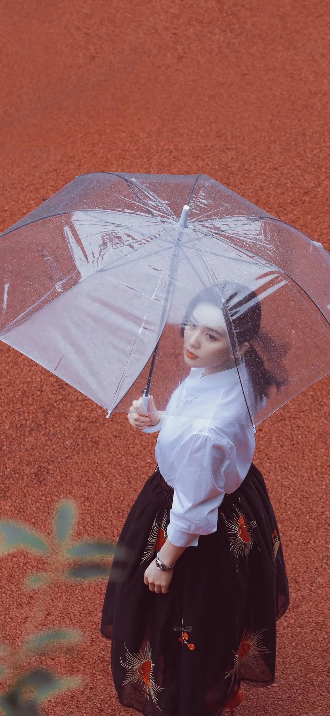 记摄人间|高清手机壁纸美图，我也想要，秋天的第一杯奶茶