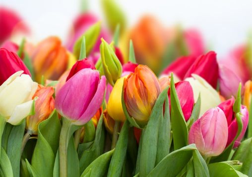 |9月下旬，4属相人生大吉，生活和事业都顺利，日子红红火火