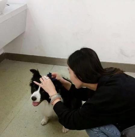 :参观非诚勿扰黄菡的家,家里装修太有品位了,连餐具都是青花瓷的