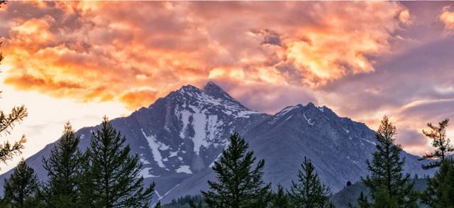 生肖|10月底，爱情降临，惺惺相惜，再续前缘，爱火再次重燃的3个星座