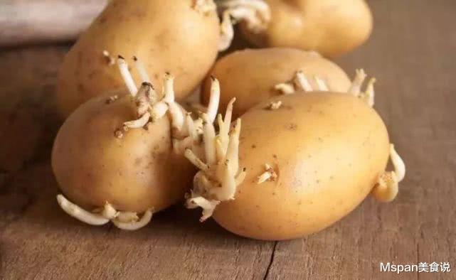 #土豆#长芽的土豆还能不能吃？原来多年一直误解了，越早让家人知道越好